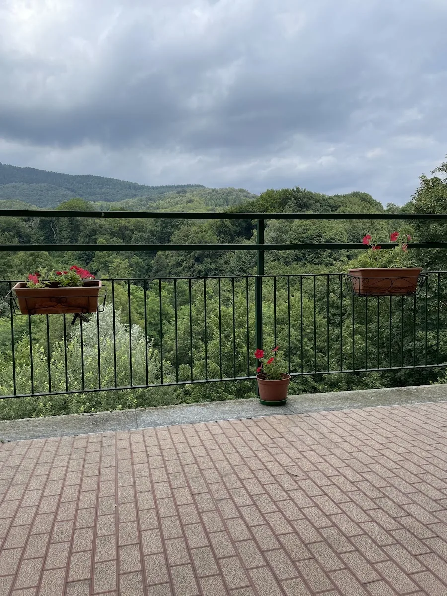 Casa Del Sorriso - Andorno Cacciorna
