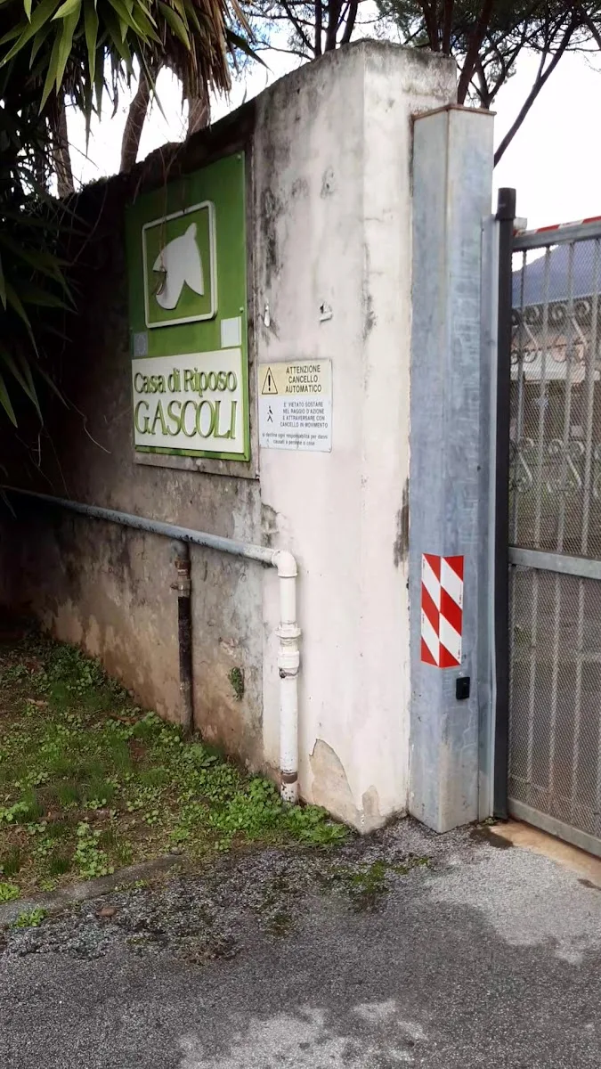 Casa Di Riposo Gioacchino Ascoli - Massa