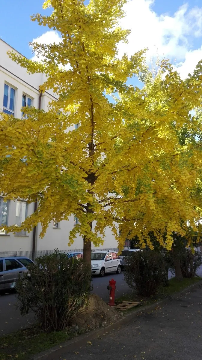 Casa Di Riposo R.s.a. Felicia Bartolotta Impastato Coopselios - La Spezia