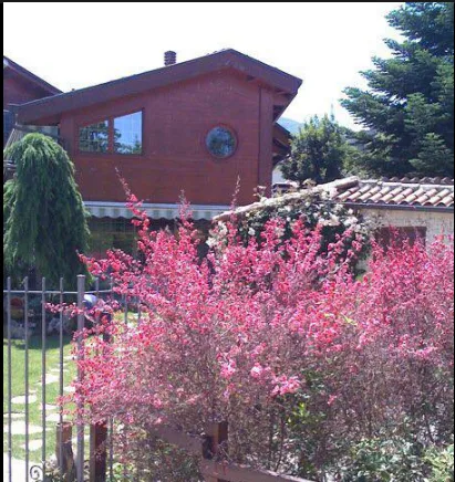 Casa Di Riposo Risorgere - Contigliano