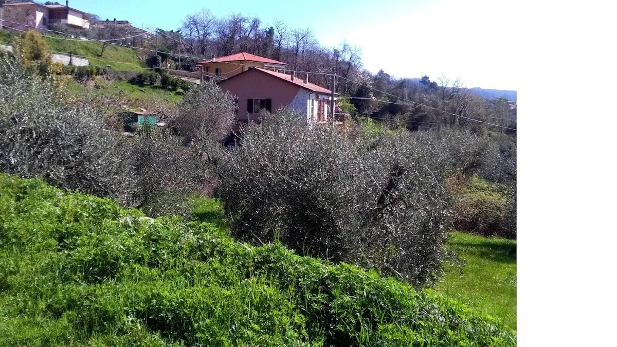 Casa Famiglia Anziani Villa degli Ulivi - Valdonica