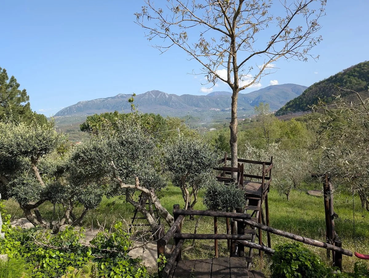 Cecila Nunziata - Cassano Irpino