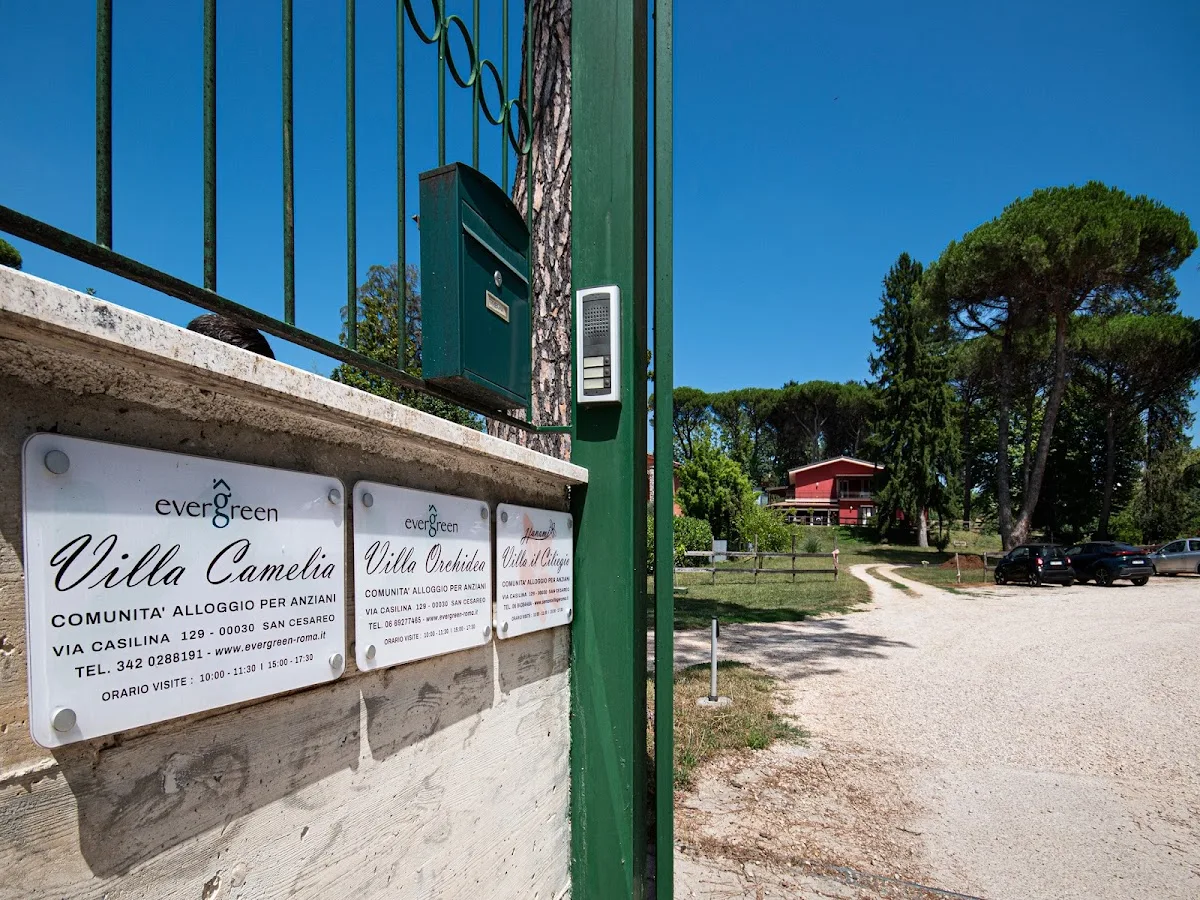 Evergreen Group - San Cesareo