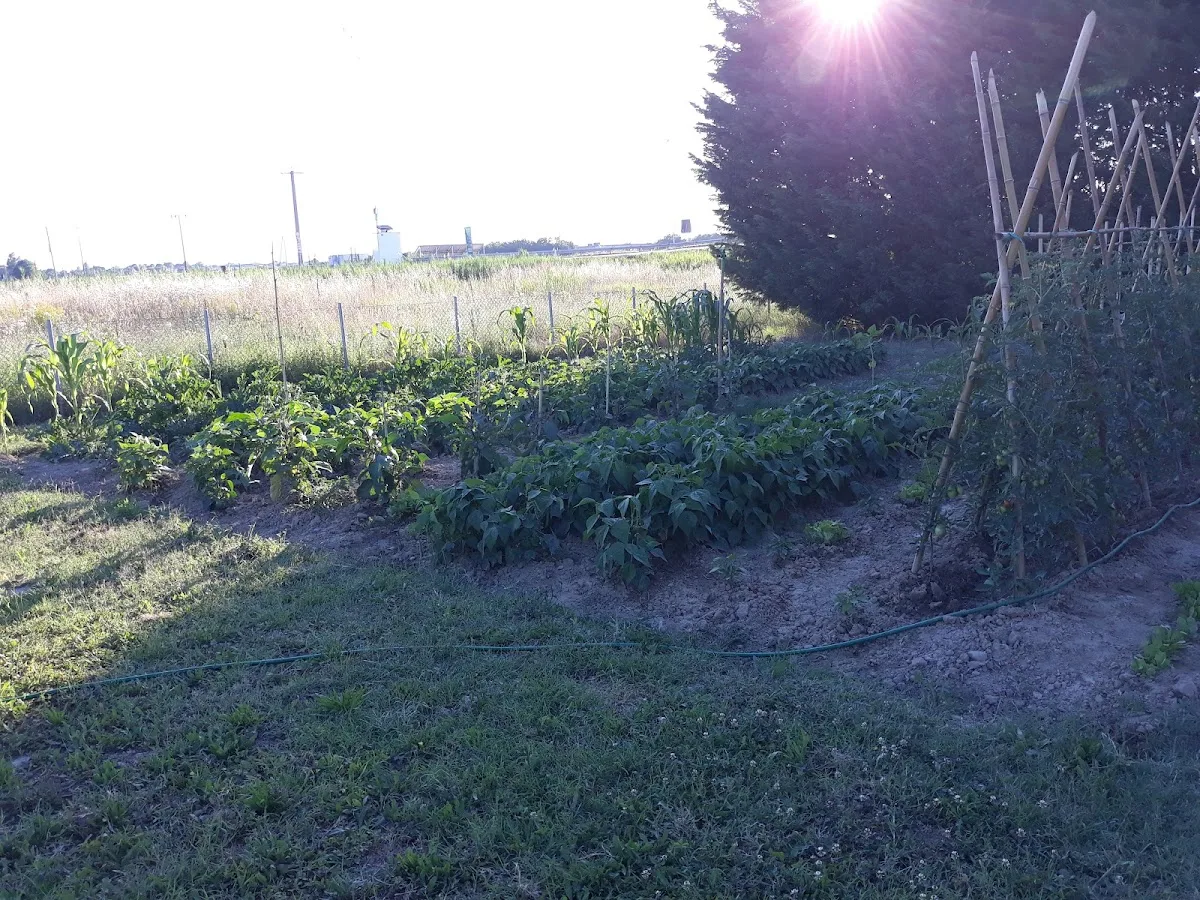 La Fattoria dei Nonni Casa Famiglia per Anziani - Ravenna