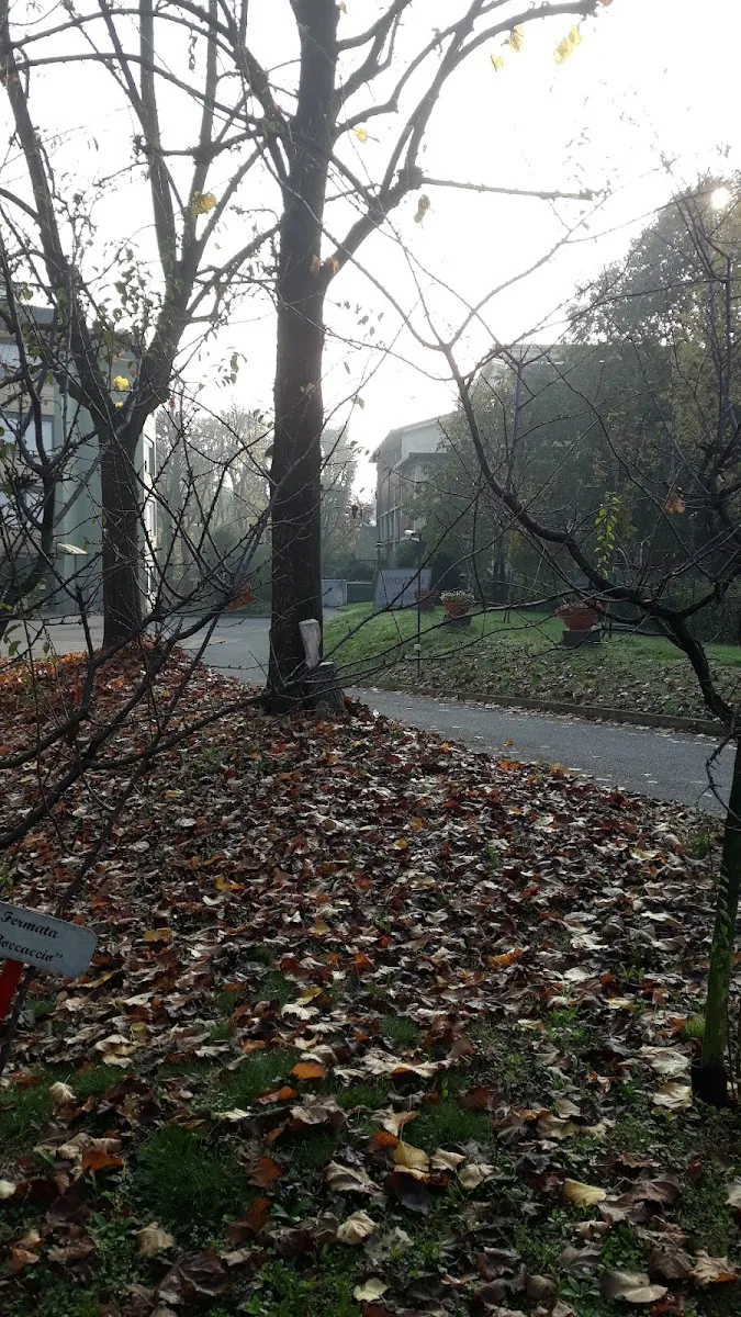 The Geriatric Institute Foundation ONLUS Pelucca - Sesto San Giovanni