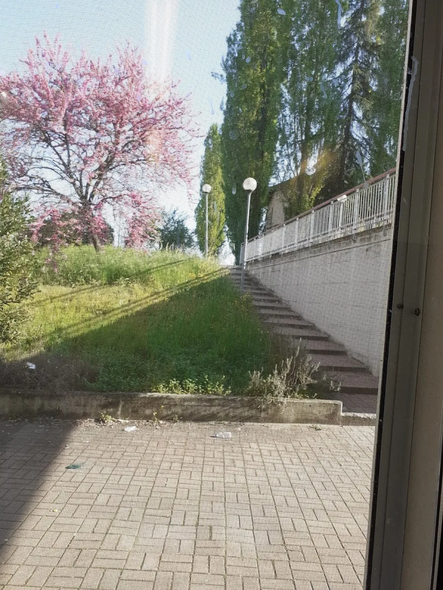 Villa le Magnolie - Reggio Emilia